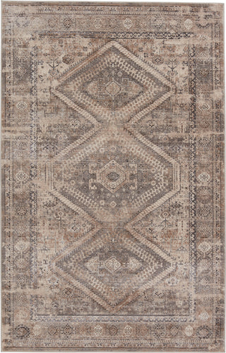 Jaipur Living Athenian Lakota ATH04 Tan/Gray Area Rug by Vibe main image