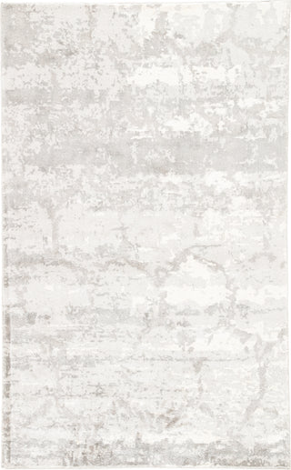 Jaipur Living Aston Perry ATO03 Gray/White Area Rug