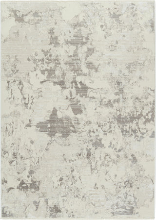 Jaipur Living Audun Evora AUD07 Gray/Cream Area Rug by Vibe main image