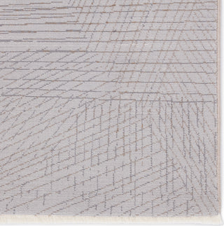 Jaipur Living Aura Sayer AUR03 Gray/Taupe Area Rug - Close Up