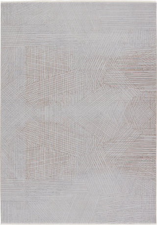 Jaipur Living Aura Sayer AUR03 Gray/Taupe Area Rug - Top Down