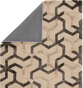 Jaipur Living Blue Addy BL125 Gray/Beige Area Rug