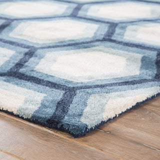 Jaipur Living Blue Jay BL149 Area Rug