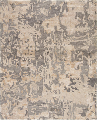 Jaipur Living Blue Reese BL161 Gray Area Rug