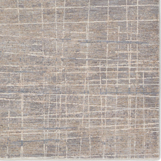 Jaipur Living Ballad Pinon BLA14 Silver/Taupe Area Rug Detail Image