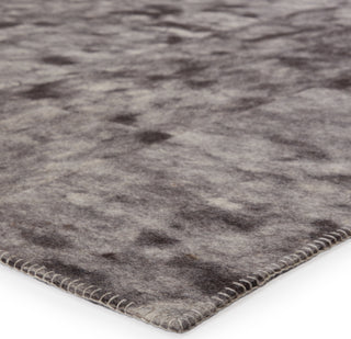 Jaipur Living Borderland Catarina BLD01 Gray/Black Area Rug