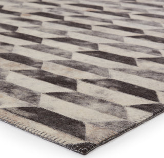 Jaipur Living Borderland Candela BLD02 Gray/Cream Area Rug