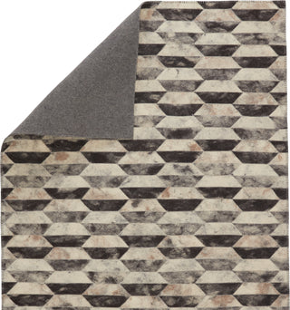 Jaipur Living Borderland Candela BLD02 Gray/Cream Area Rug