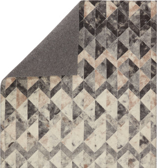 Jaipur Living Borderland Carrizo BLD03 Gray/Cream Area Rug