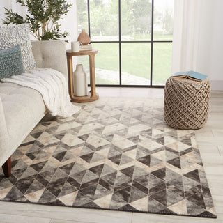 Jaipur Living Borderland Carrizo BLD03 Gray/Cream Area Rug Lifestyle Image Feature