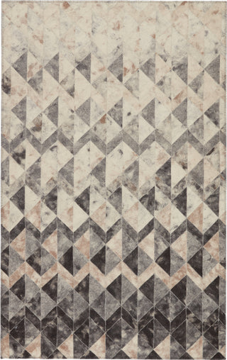 Jaipur Living Borderland Carrizo BLD03 Gray/Cream Area Rug