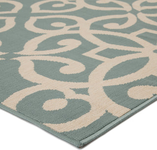 Jaipur Living Bloom Scrolled BLO13 Blue/Cream Area Rug