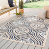 Jaipur Living Belize Talanaga BLZ04 Multicolor Area Rug Lifestyle Image Feature
