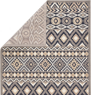 Jaipur Living Belize Irona BLZ05 Multicolor Area Rug