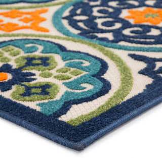 Jaipur Living Belize Tela BLZ09 Multicolor Area Rug