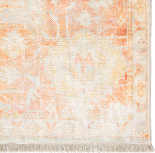 Jaipur Living Boheme Patrin BOH02 Orange/Light Gray Area Rug