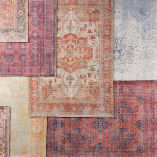 Jaipur Living Boheme Menowin BOH06 Orange/Blue Area Rug