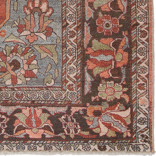 Jaipur Living Boheme Wesleyan BOH18 Rust/Gray Area Rug