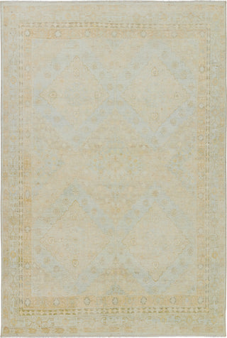 Jaipur Living Boheme Winn BOH25 Blue/Green Area Rug main image