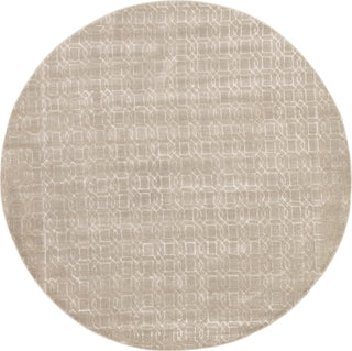 Jaipur Living Baroque Rembrandt BQ03 Gray Area Rug