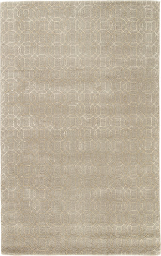 Jaipur Living Baroque Rembrandt BQ03 Gray Area Rug