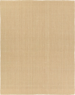 Jaipur Living Birchwood Alyster BRH01 Beige Area Rug main image