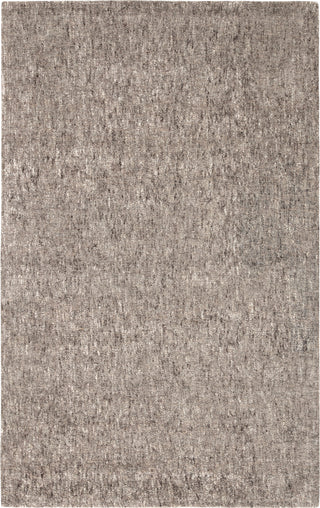 Jaipur Living Britta Plus BRP01 Gray Area Rug