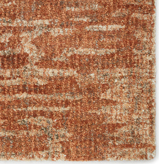 Jaipur Living Britta Plus Pangia BRP15 Rust/Light Brown Area Rug Detail Image