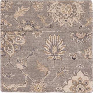 Jaipur Living Biscayne Riverton BS18 Gray/Tan Area Rug