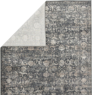 Jaipur Living Caicos Kachina CAI01 Blue/Gray Area Rug