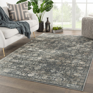 Jaipur Living Caicos Kachina CAI01 Blue/Gray Area Rug Lifestyle Image Feature