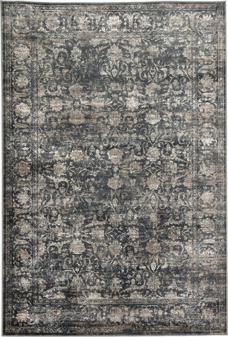 Jaipur Living Caicos Kachina CAI01 Blue/Gray Area Rug