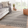 Jaipur Living Catamaran Killick CAM02 Gray/Beige Area Rug Lifestyle Image Feature