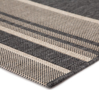 Jaipur Living Catamaran Pilot CAM04 Gray/Beige Area Rug