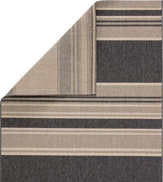 Jaipur Living Catamaran Pilot CAM04 Gray/Beige Area Rug