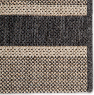 Jaipur Living Catamaran Pilot CAM04 Gray/Beige Area Rug