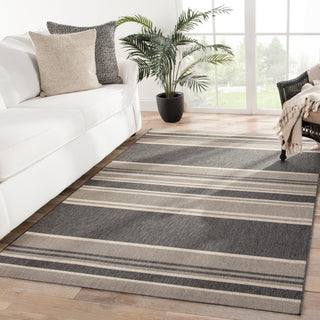 Jaipur Living Catamaran Pilot CAM04 Gray/Beige Area Rug