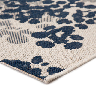 Jaipur Living Catamaran Mariner CAM07 Blue/Gray Area Rug