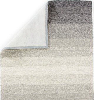 Jaipur Living Catalina Blaze CAT57 Gray/Beige Area Rug