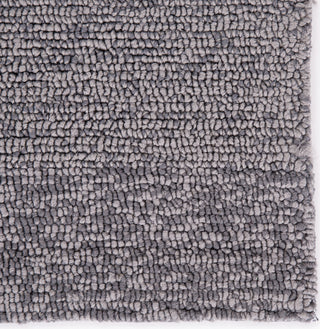 Jaipur Living Catalina Blaze CAT57 Gray/Beige Area Rug