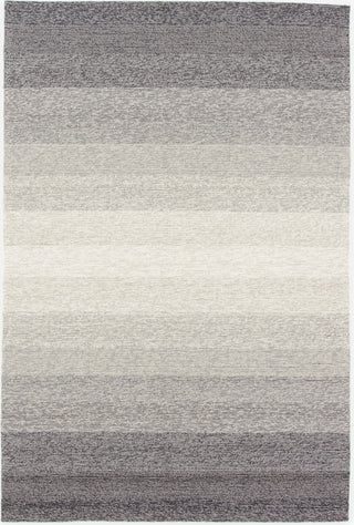 Jaipur Living Catalina Blaze CAT57 Gray/Beige Area Rug