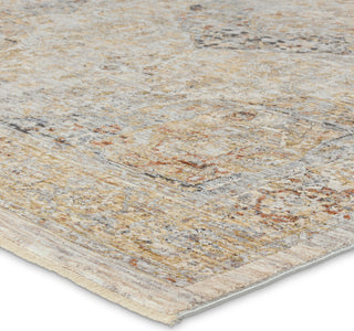 Jaipur Living Celeste Jeeda CEL02 Gray/Multicolor Area Rug Corner Image