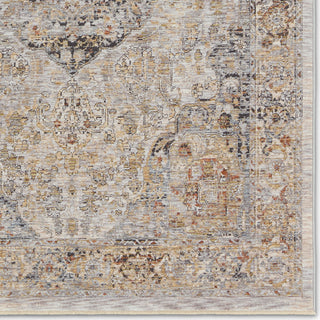 Jaipur Living Celeste Jeeda CEL02 Gray/Multicolor Area Rug Detail Image