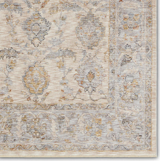 Jaipur Living Celeste Anola CEL03 Gray/Beige Area Rug Detail Image