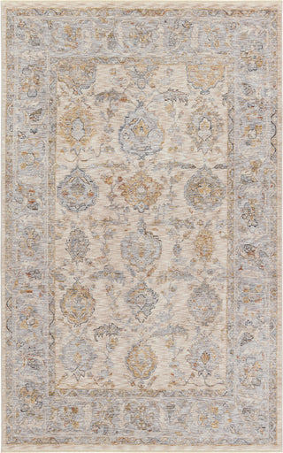 Jaipur Living Celeste Anola CEL03 Gray/Beige Area Rug main image