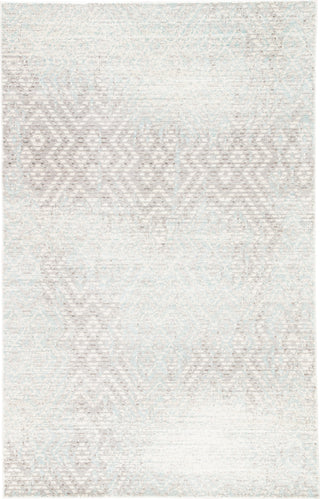 Jaipur Living Ceres Stern CER09 Gray/Blue Area Rug