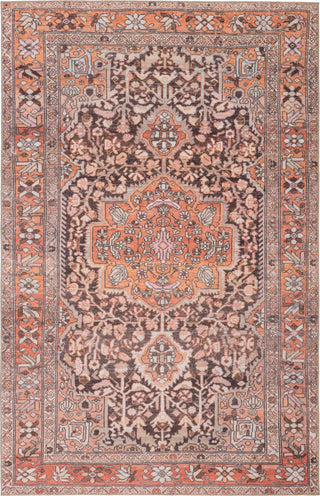 Jaipur Living Chateau Chariot CHT06 Orange/Dark Gray Area Rug