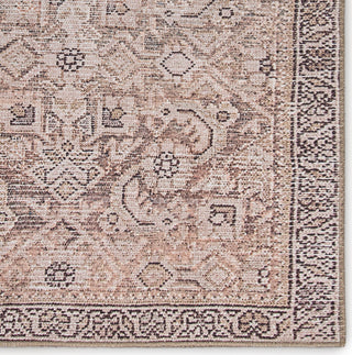 Jaipur Living Chateau Atkins CHT08 Peach/Blue Area Rug