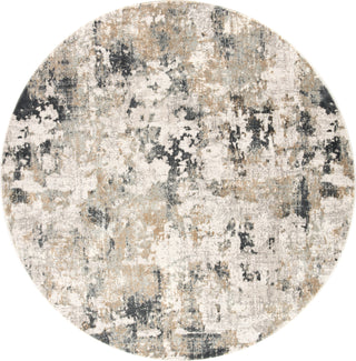 Jaipur Living Cirque Lynne CIQ01 White/Gray Area Rug