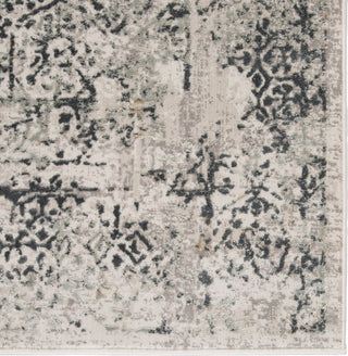 Jaipur Living Cirque Yvie CIQ06 White/Gray Area Rug